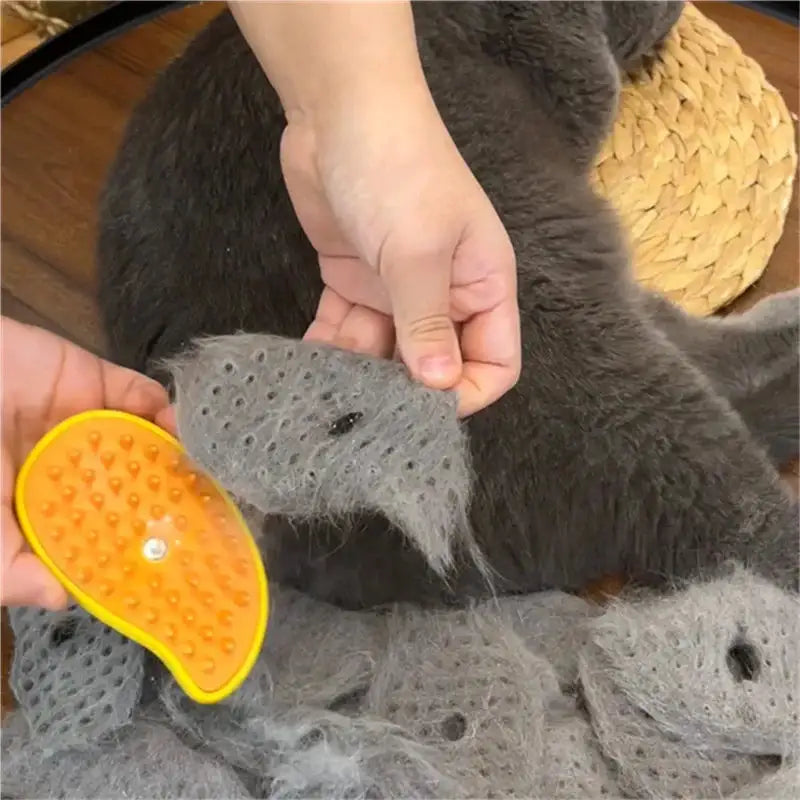 3-in-1 Cat Steam Brush